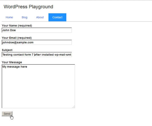 Front end form input filled and ready to send - image