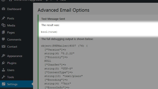 WP Mail SMTP Test result page - image